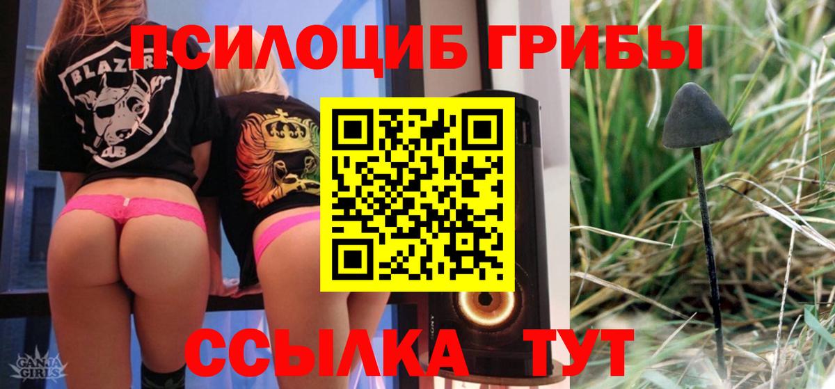 Псилоцибиновые грибы Cubensis  Сафоново  Галлюциногенные грибы мицелий 