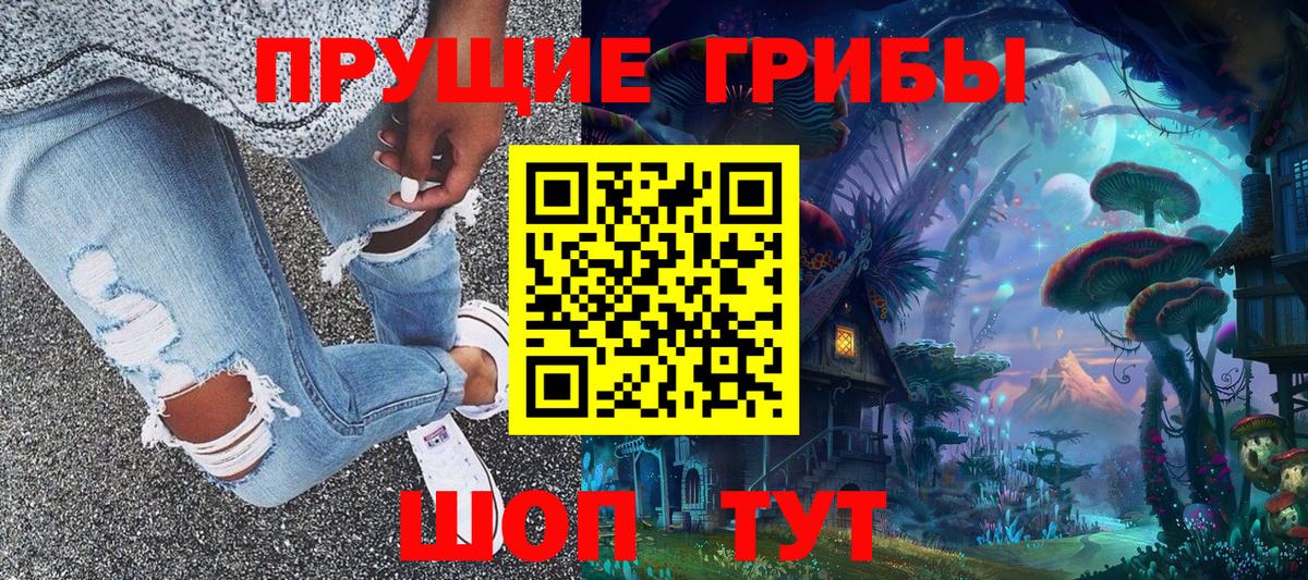 Сафоново  Галлюциногенные грибы прущие грибы  Вход с VPN  Галлюциногенные грибы Psilocybe 